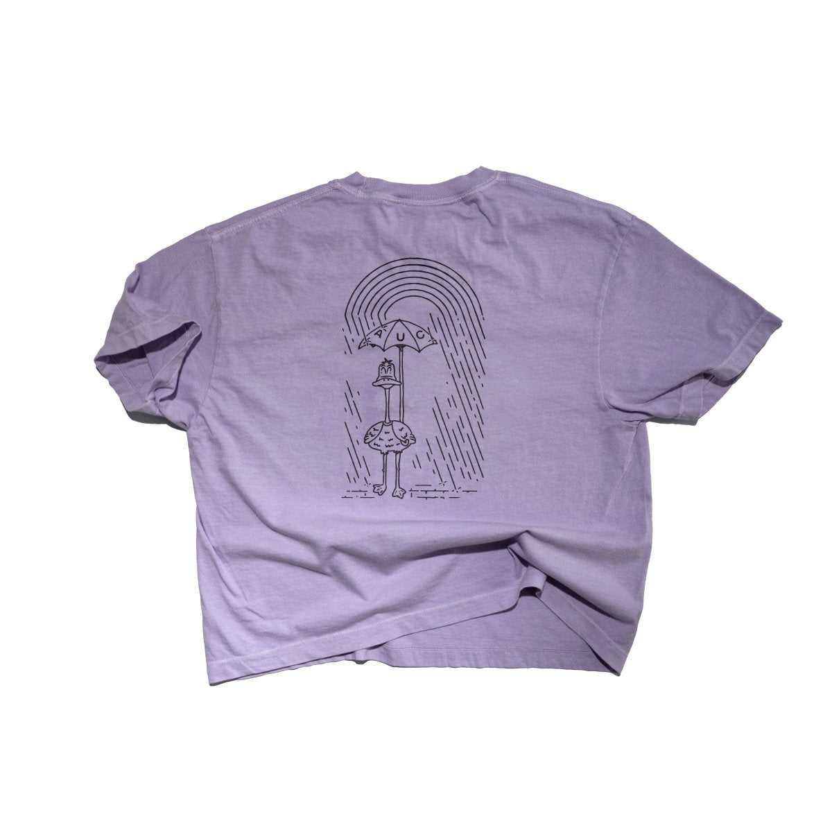 Like Water Off a Duck's back - Semi - Crop Boxy Tee - Women's - T-Shirt - Austin Unicorn Club - Design & Apparel